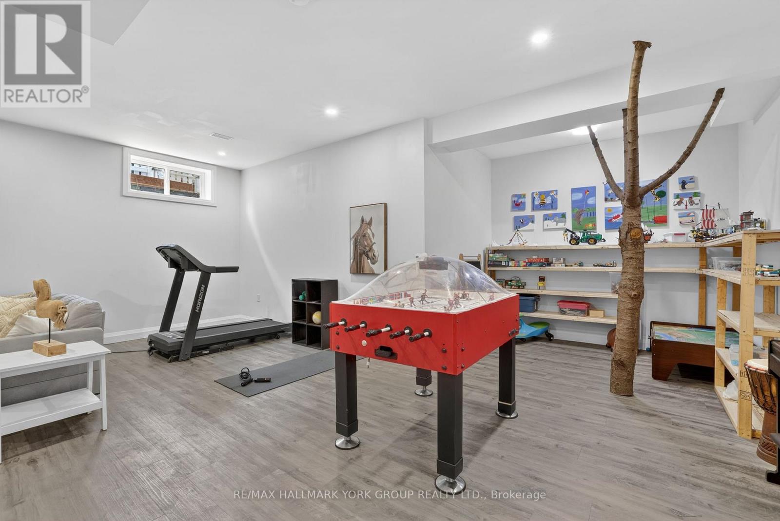 294 Cawthra Boulevard, Newmarket, Ontario  L3Y 4N8 - Photo 22 - N12984824