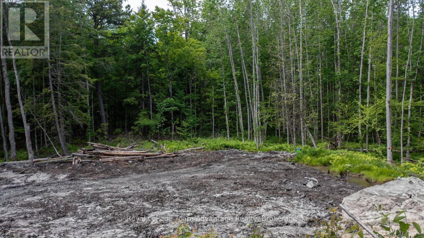 40 Sunnyshore Park Drive, Mckellar, Ontario  P2A 0B5 - Photo 4 - X12985016