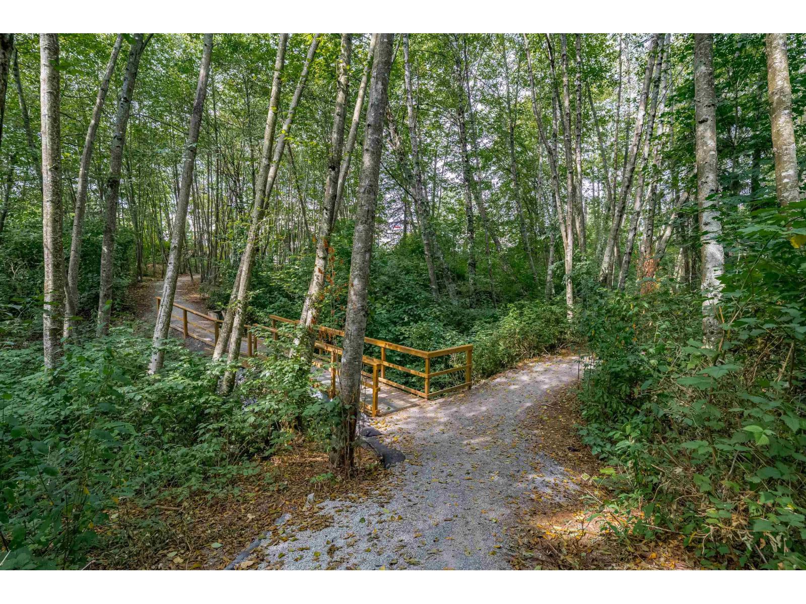 45 2955 156 Street, Surrey, British Columbia  V3Z 2W8 - Photo 37 - R3108875