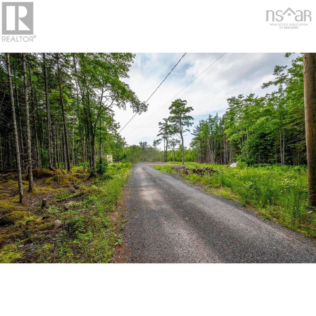 111 Middle Lake North Road, Vaughan, Nova Scotia  B0N 2T0 - Photo 4 - 202607063