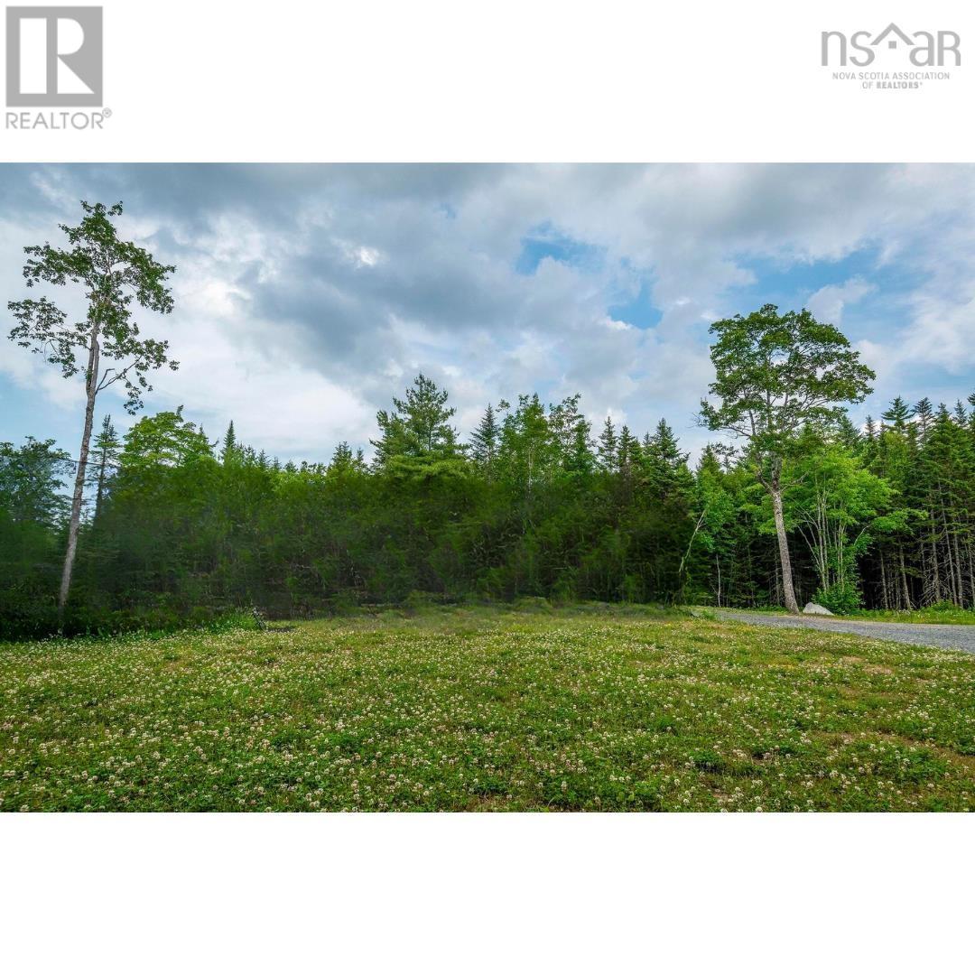 111 Middle Lake North Road, Vaughan, Nova Scotia  B0N 2T0 - Photo 8 - 202607063