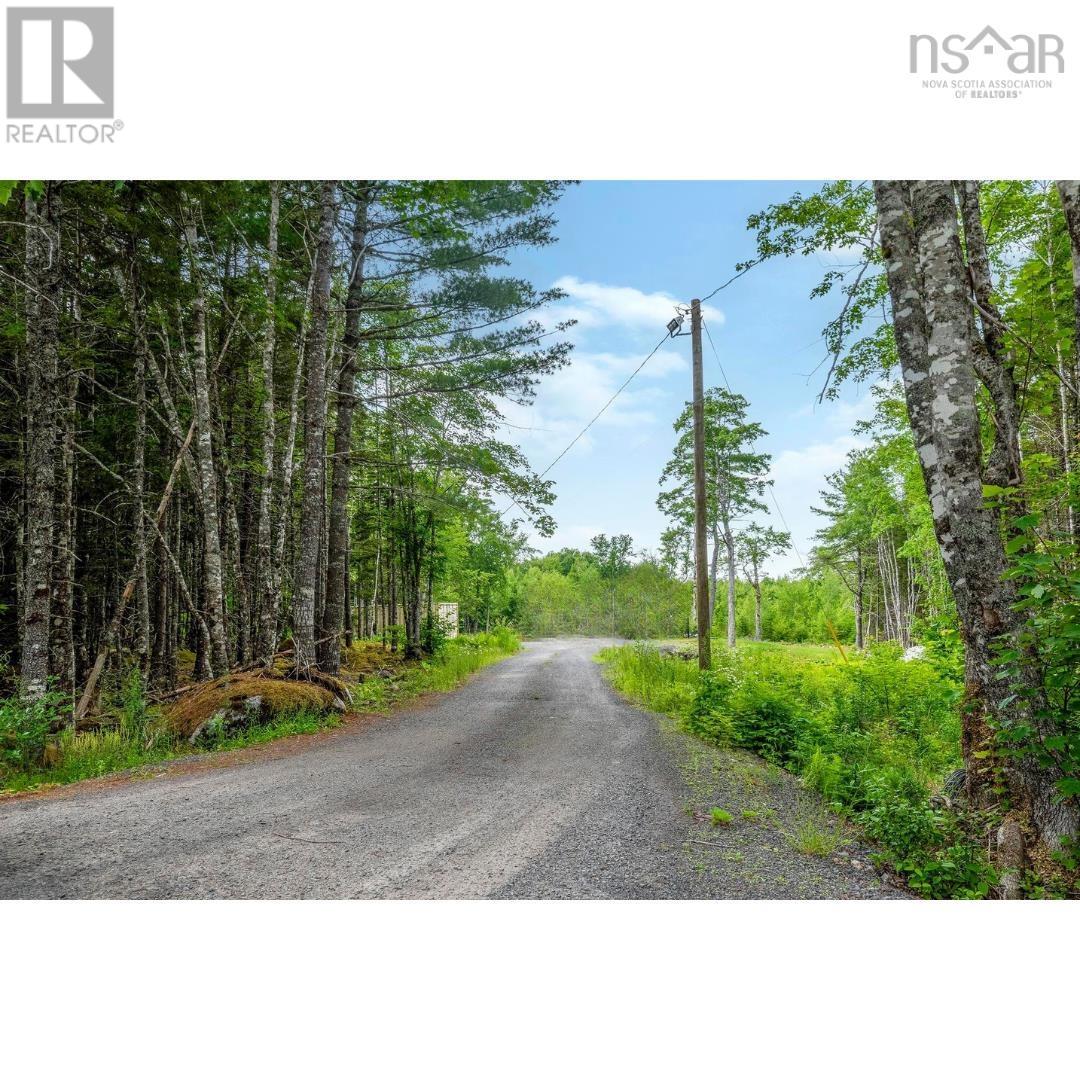 111 Middle Lake North Road, Vaughan, Nova Scotia  B0N 2T0 - Photo 3 - 202607063