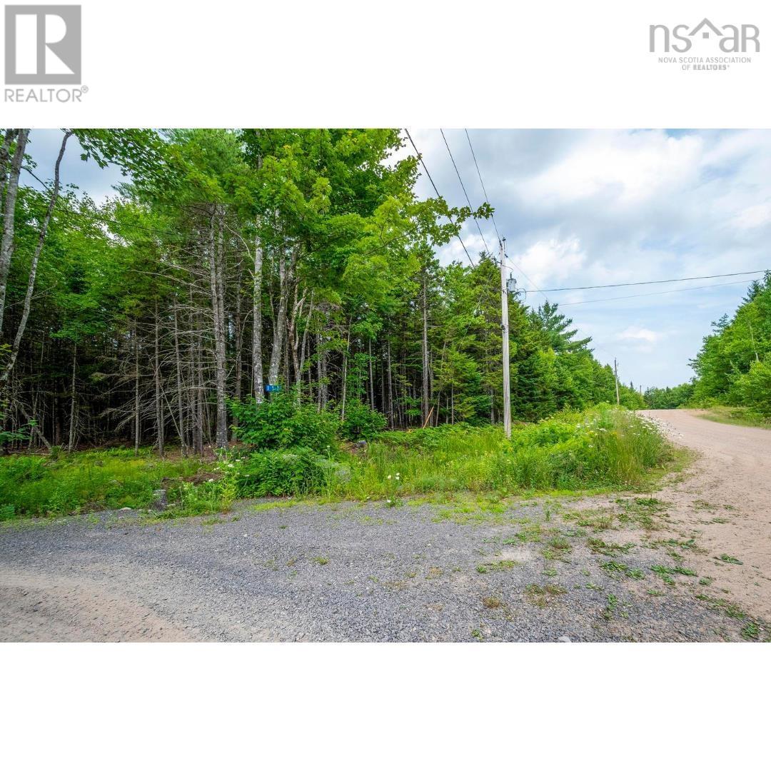 111 Middle Lake North Road, Vaughan, Nova Scotia  B0N 2T0 - Photo 5 - 202607063