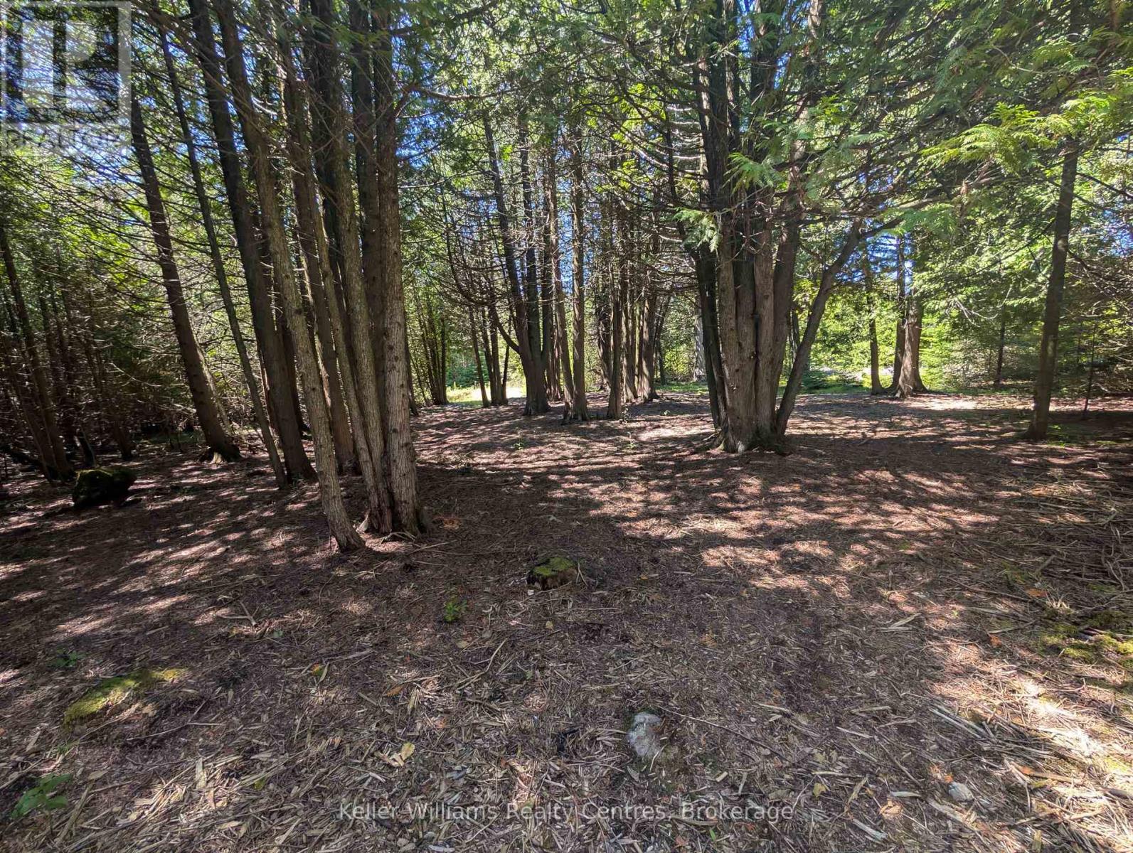 23 Stokes Bay Road, Northern Bruce Peninsula, Ontario  N0H 1W0 - Photo 36 - X12722462