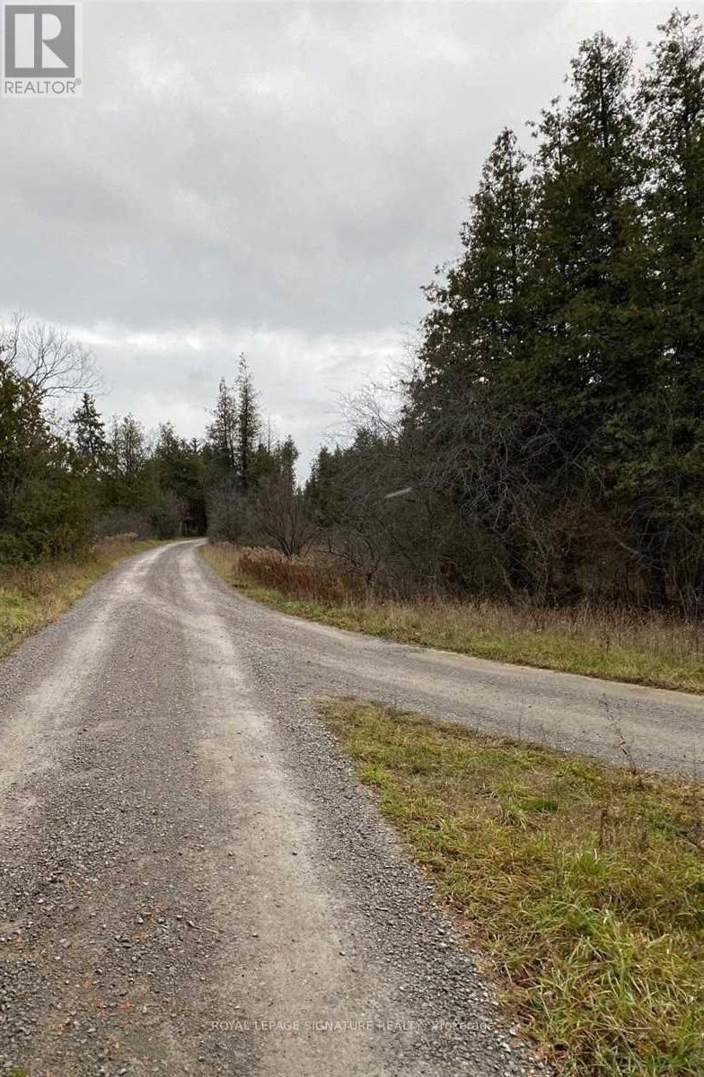 1411 Portage Road, Kawartha Lakes, Ontario  K0M 2B0 - Photo 20 - X12984936