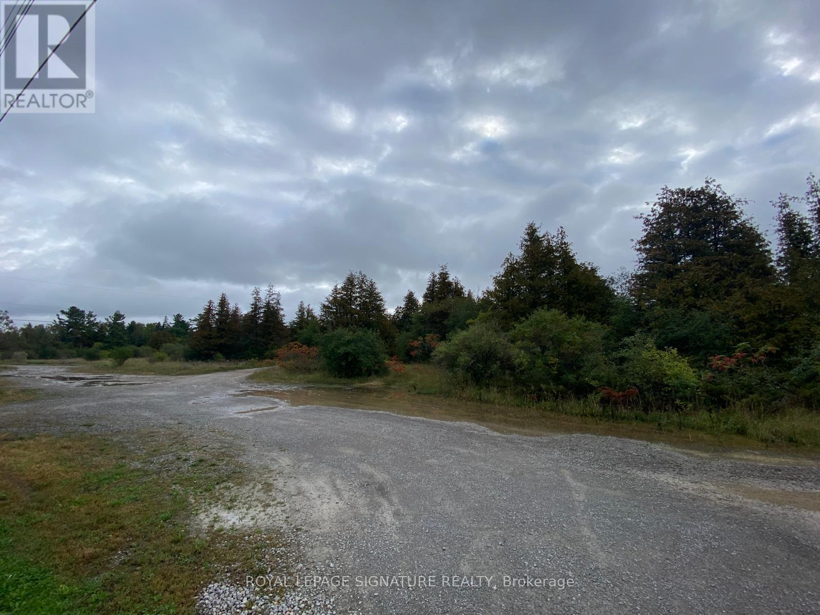 1411 Portage Road, Kawartha Lakes, Ontario  K0M 2B0 - Photo 21 - X12984936