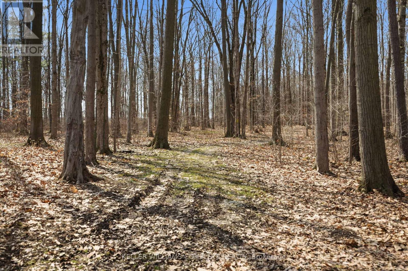 4732 Haldimand Road 20, Haldimand, Ontario  N1A 2W3 - Photo 42 - X12984988