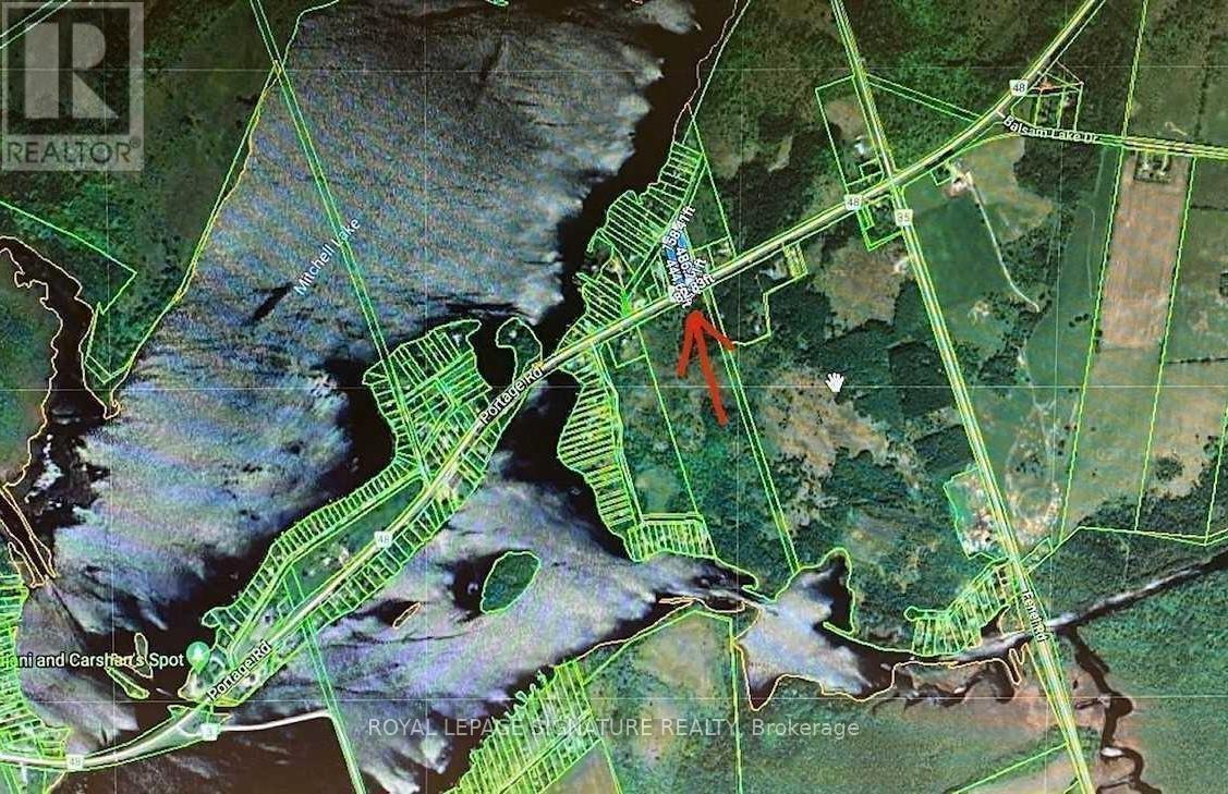 1411 Portage Road, Kawartha Lakes, Ontario  K0M 2B0 - Photo 11 - X12985228