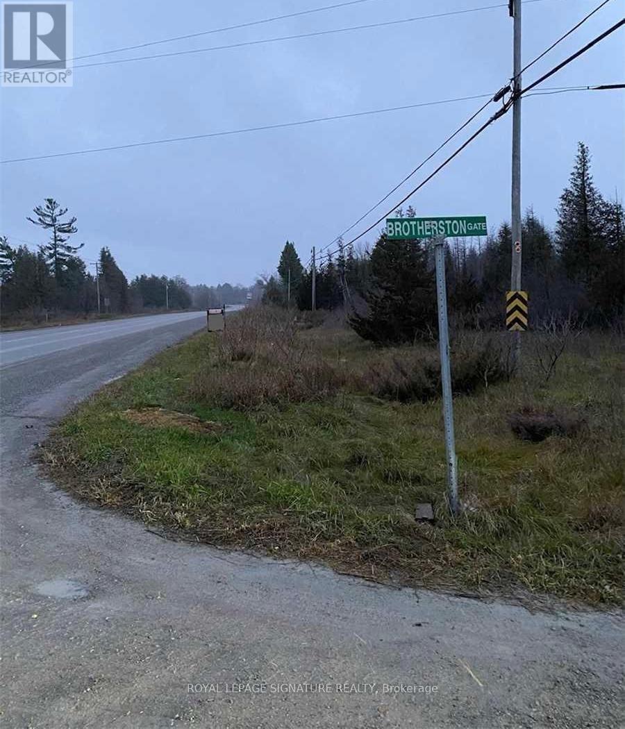 1411 Portage Road, Kawartha Lakes, Ontario  K0M 2B0 - Photo 16 - X12985228