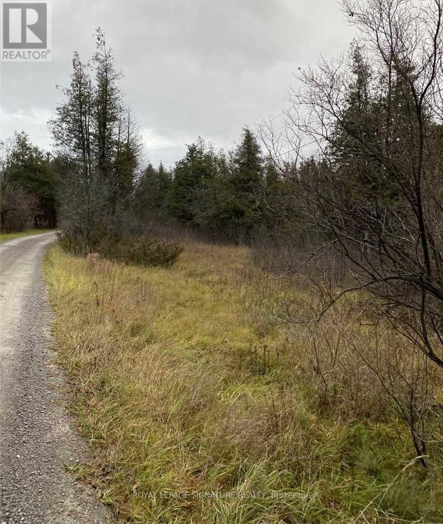 1411 Portage Road, Kawartha Lakes, Ontario  K0M 2B0 - Photo 19 - X12985228