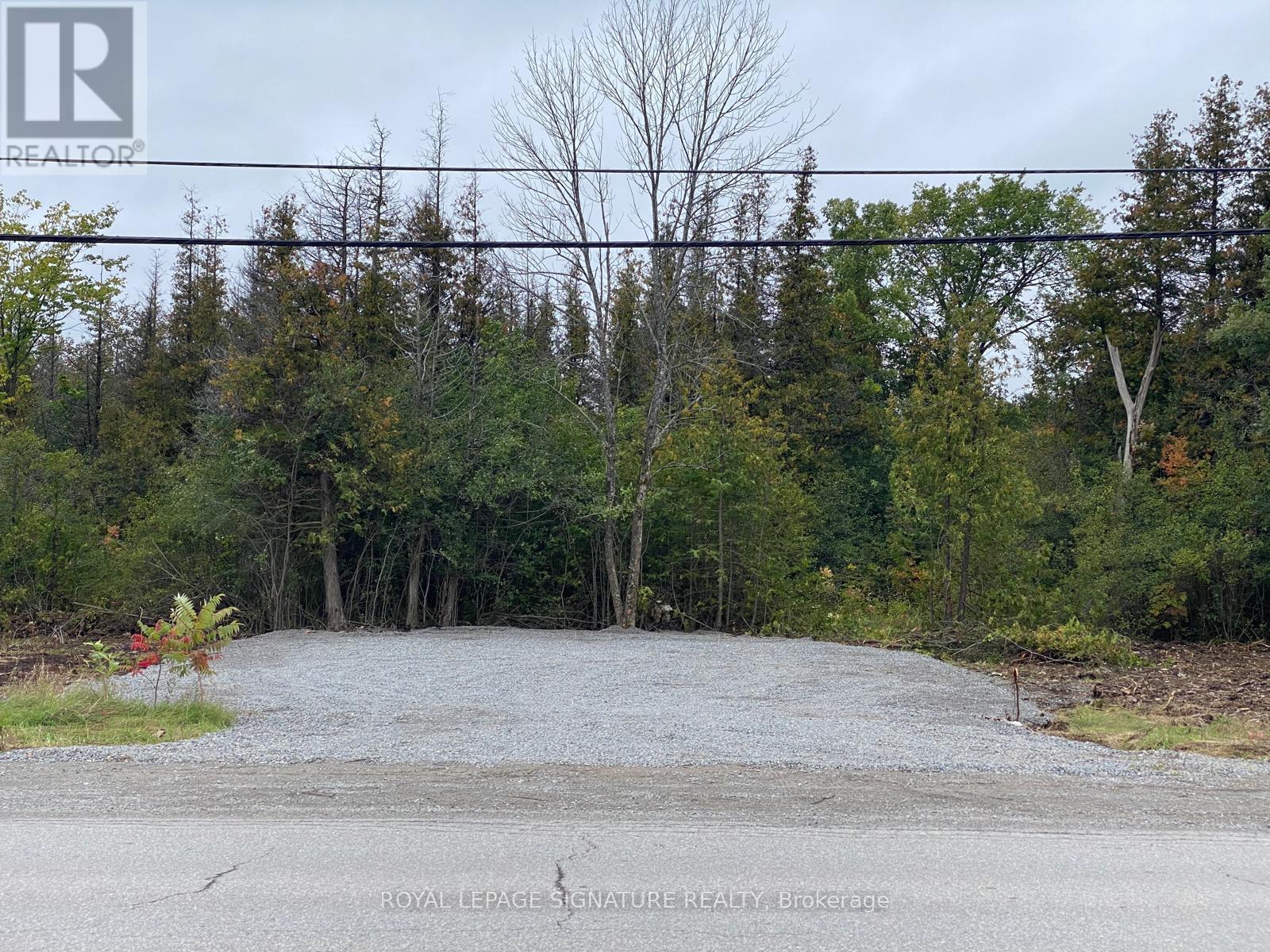 1411 Portage Road, Kawartha Lakes, Ontario  K0M 2B0 - Photo 6 - X12985228