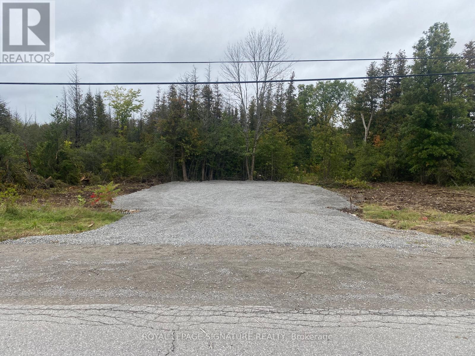 1411 Portage Road, Kawartha Lakes, Ontario  K0M 2B0 - Photo 7 - X12985228