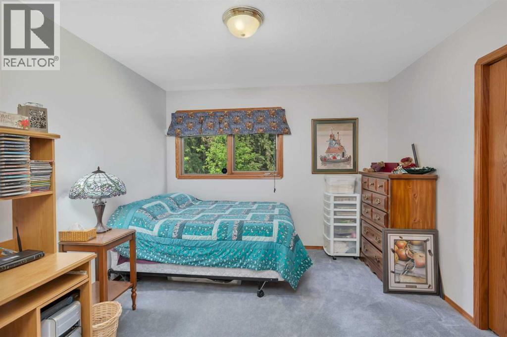 4000 42 Street, Rocky Mountain House, Alberta  T4T 1A7 - Photo 19 - A2275975