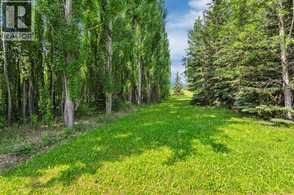 4000 42 Street, Rocky Mountain House, Alberta  T4T 1A7 - Photo 37 - A2275975