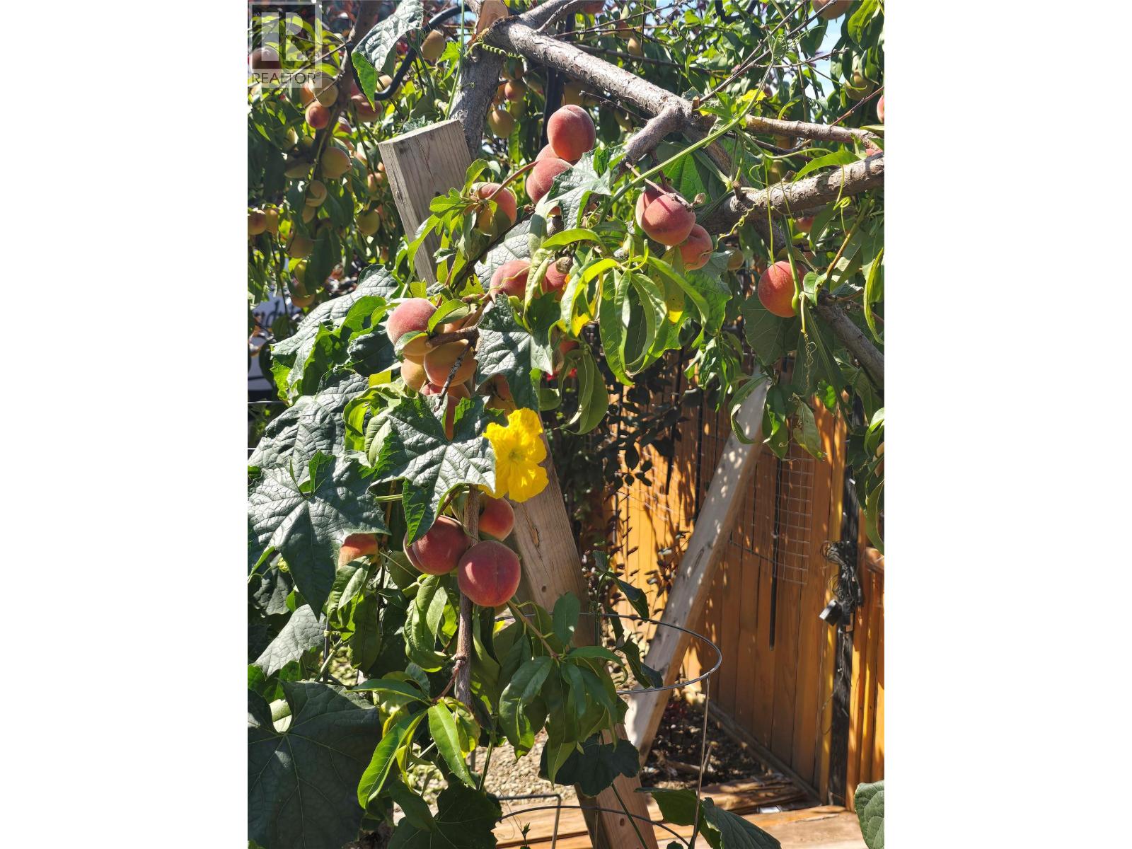 415 Commonwealth Road Unit# 12, Kelowna, British Columbia  V4V 1P4 - Photo 37 - 10378553