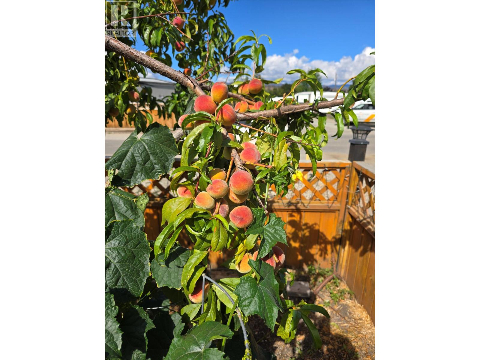 415 Commonwealth Road Unit# 12, Kelowna, British Columbia  V4V 1P4 - Photo 38 - 10378553