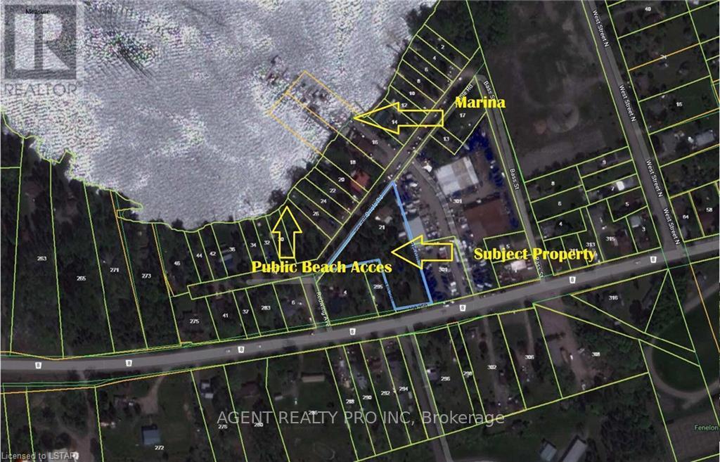 21 Oriole Road, Kawartha Lakes, Ontario  K0M 1N0 - Photo 3 - X12985456