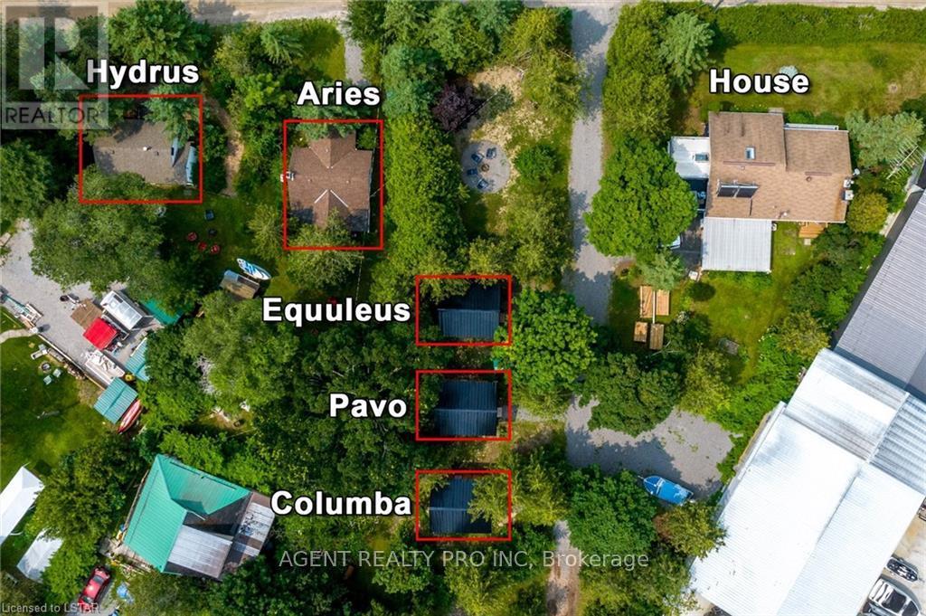 21 Oriole Road, Kawartha Lakes, Ontario  K0M 1N0 - Photo 4 - X12985456