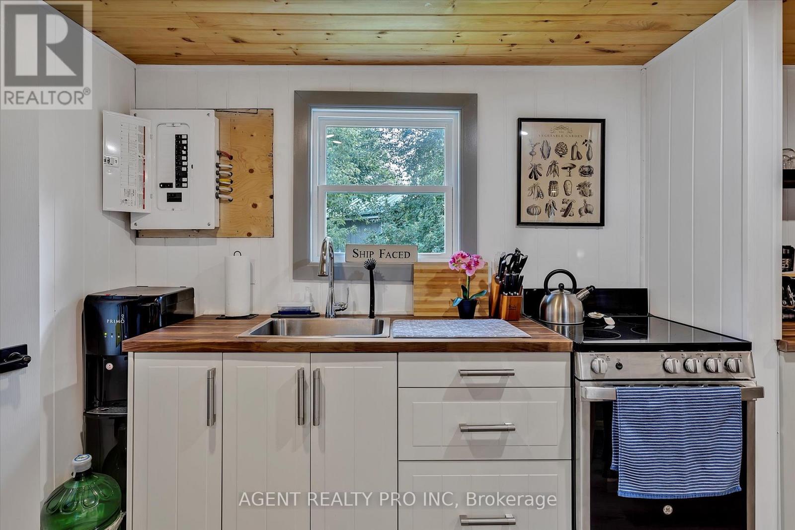 21 Oriole Road, Kawartha Lakes, Ontario  K0M 1N0 - Photo 48 - X12985456