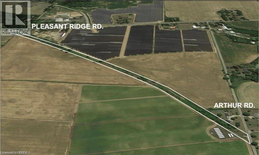 161 Pleasant Ridge Road, Brantford, Ontario  N3R 0B8 - Photo 6 - 40818558