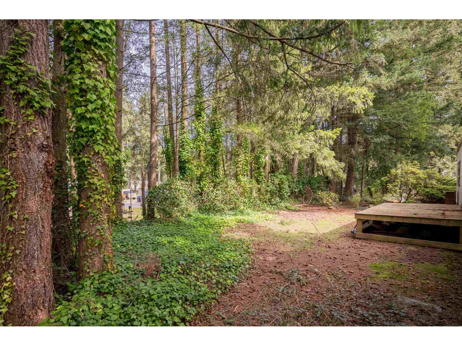 33 20071 24 Avenue, Langley, British Columbia  V2Z 2A1 - Photo 31 - R3109616