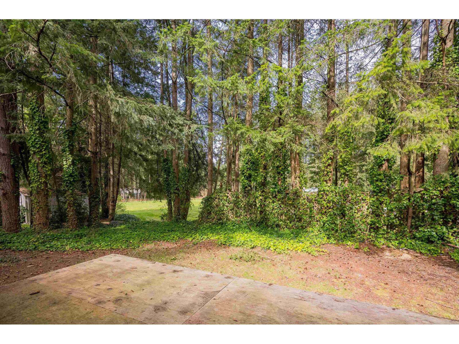 33 20071 24 Avenue, Langley, British Columbia  V2Z 2A1 - Photo 28 - R3109616