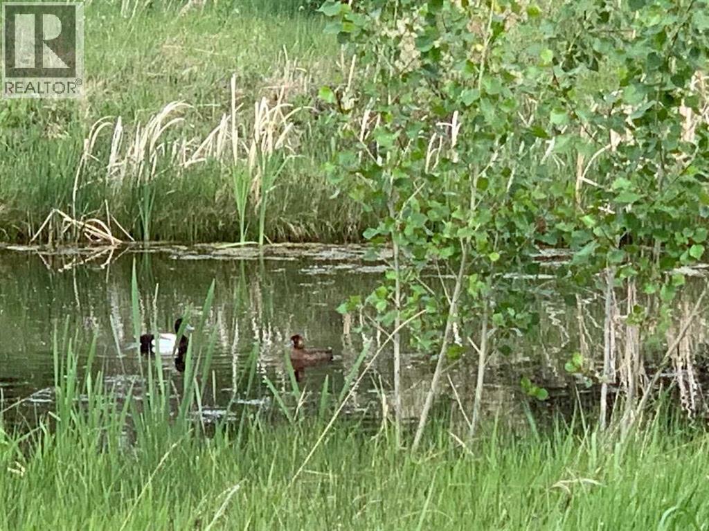 245042 Range Road 251 Range, Rural Wheatland County, Alberta  T0J 0P1 - Photo 41 - A2291592