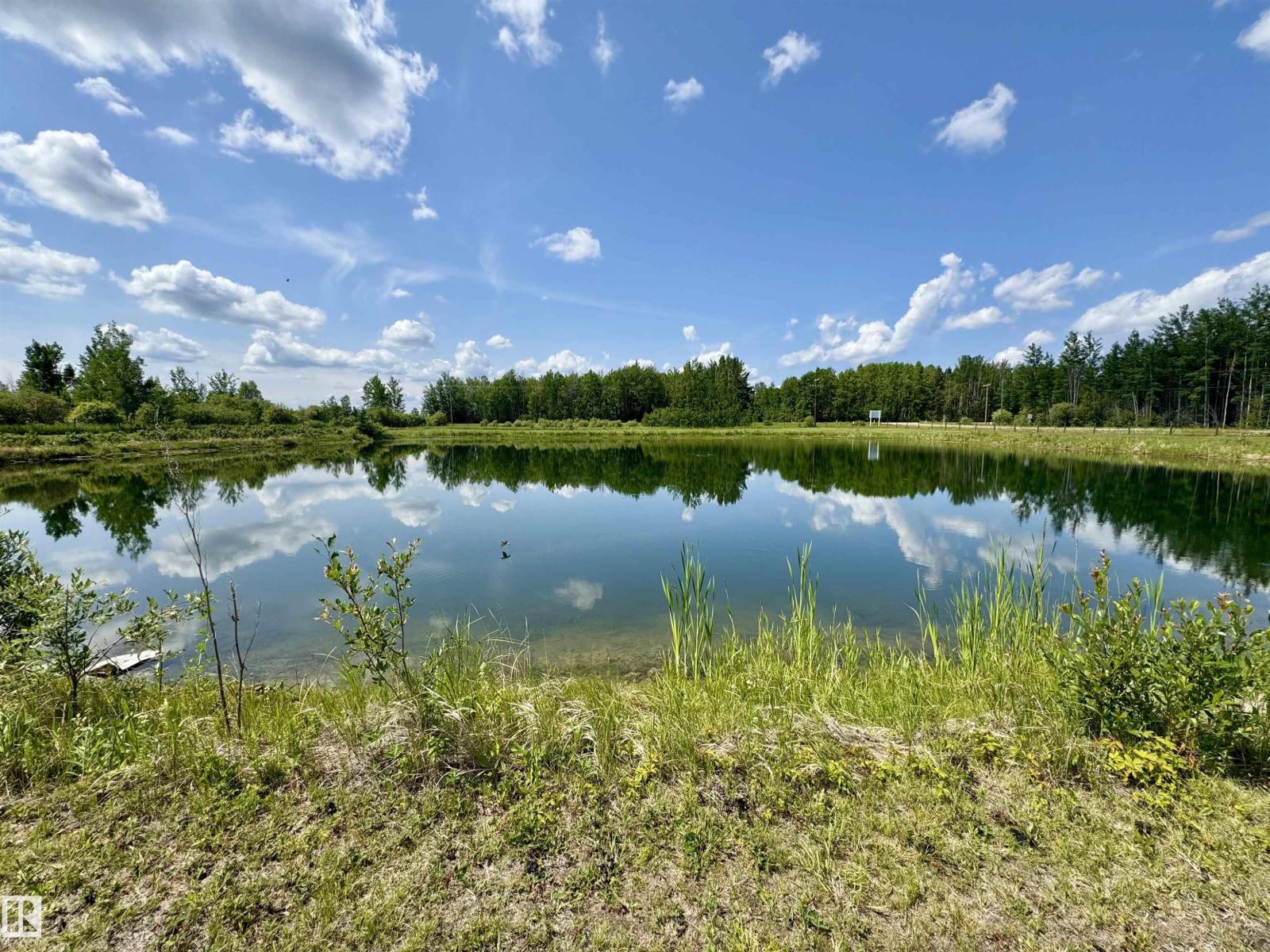 102 49413 Rr 81, Rural Brazeau County, Alberta  T7A 1S6 - Photo 63 - E4481781