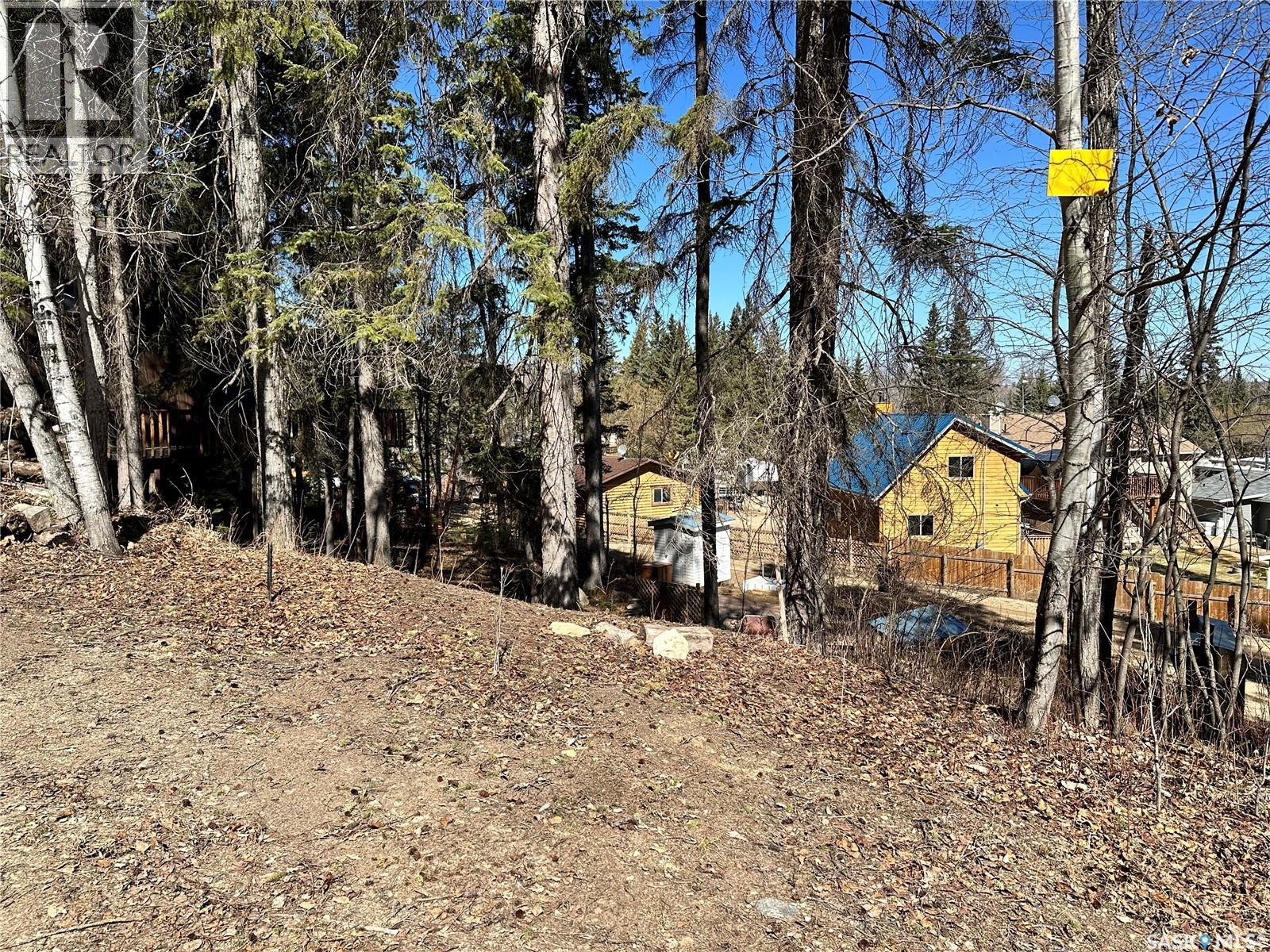 306 Barrier Bay, Barrier Valley Rm No. 397, Saskatchewan  S0E 0B0 - Photo 18 - SK032647