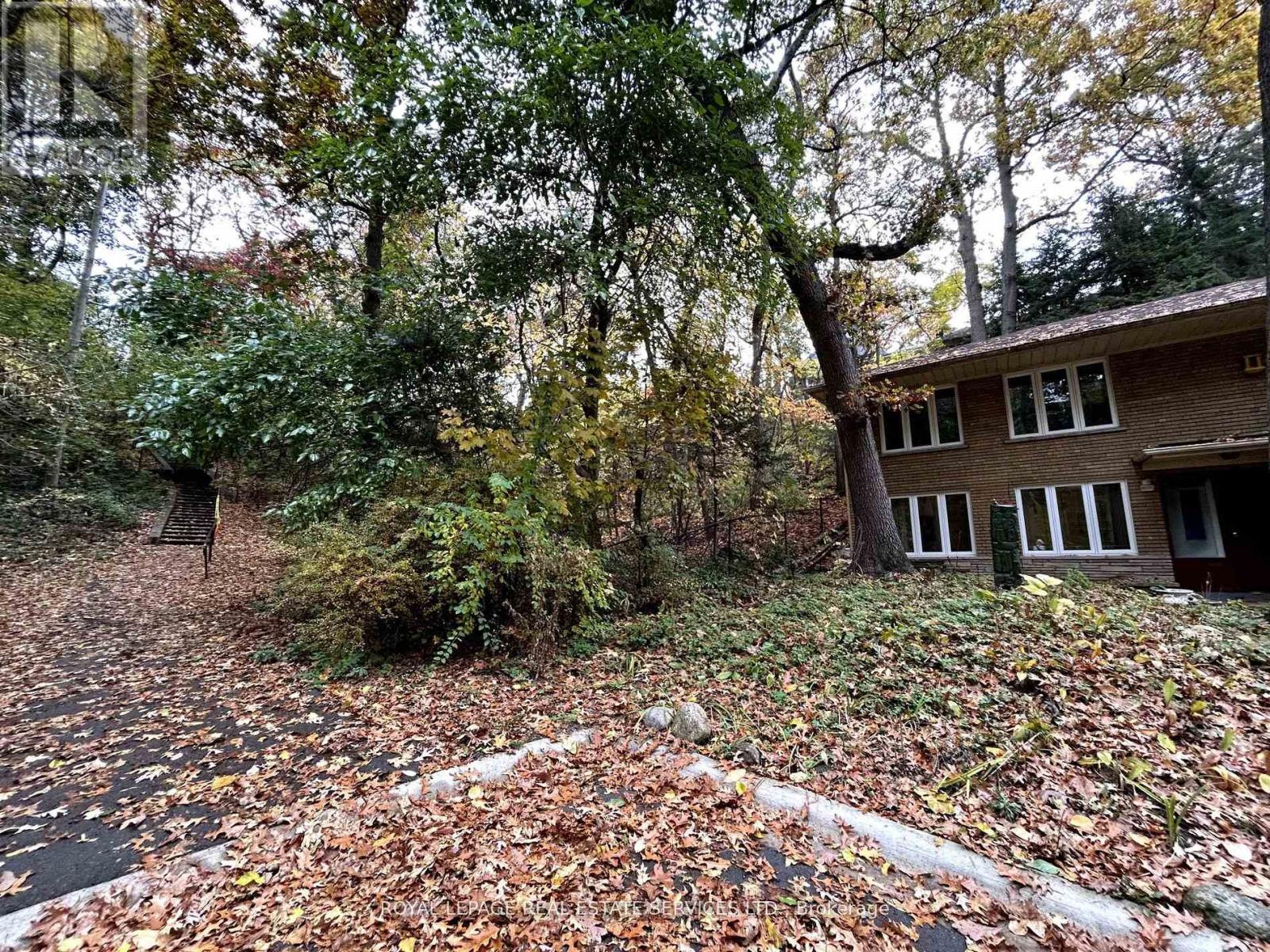 Ground Floor - 178 Morningside Avenue, Toronto, Ontario  M6S 1E3 - Photo 4 - W12985588