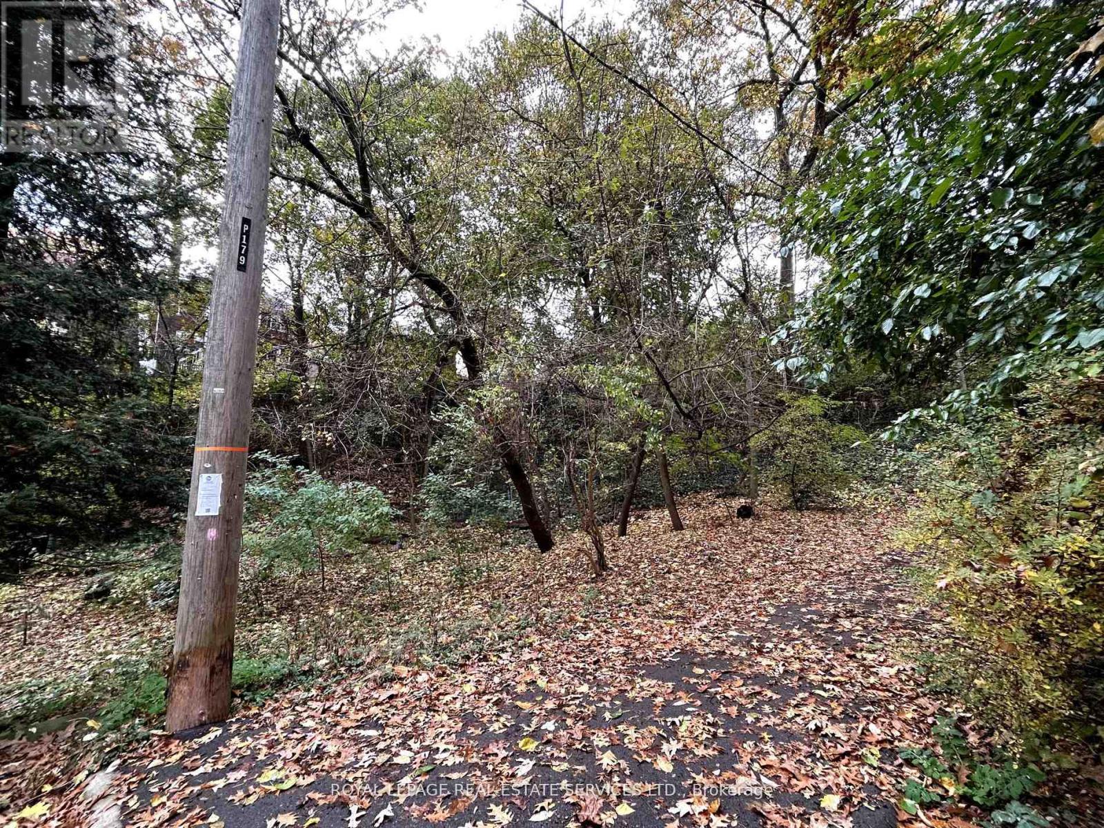 Ground Floor - 178 Morningside Avenue, Toronto, Ontario  M6S 1E3 - Photo 6 - W12985588