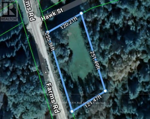 Pt Lot 7 Farms Road, Kawartha Lakes, Ontario K0M 2T0 - Photo 1 - X12985754