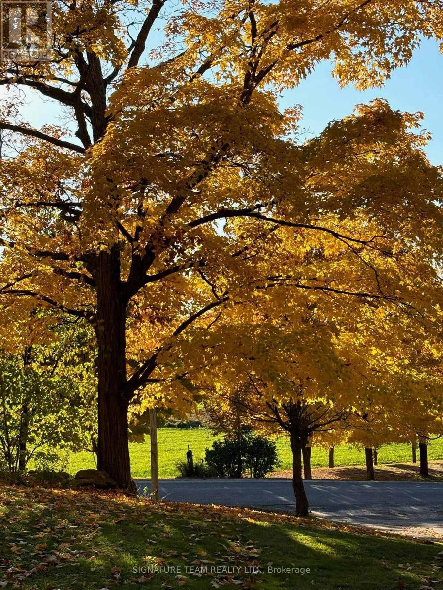 32 Hydro Bay Road, Whitewater Region, Ontario  K0J 1K0 - Photo 34 - X12568890