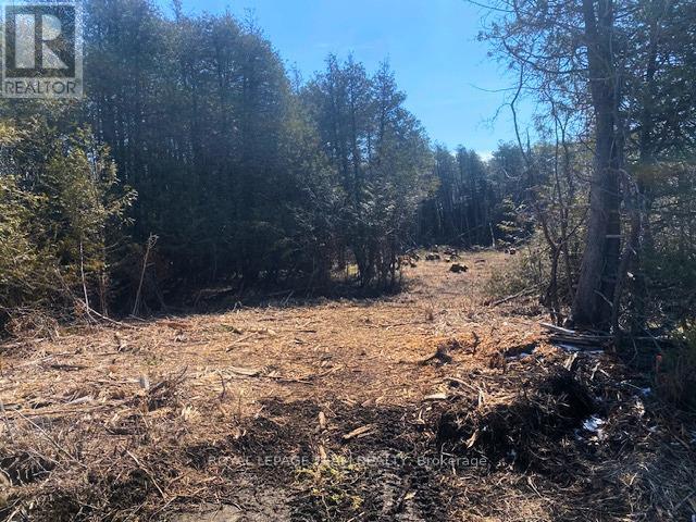 LT 3 ARMSTRONG ROAD, Merrickville-Wolford, Ontario