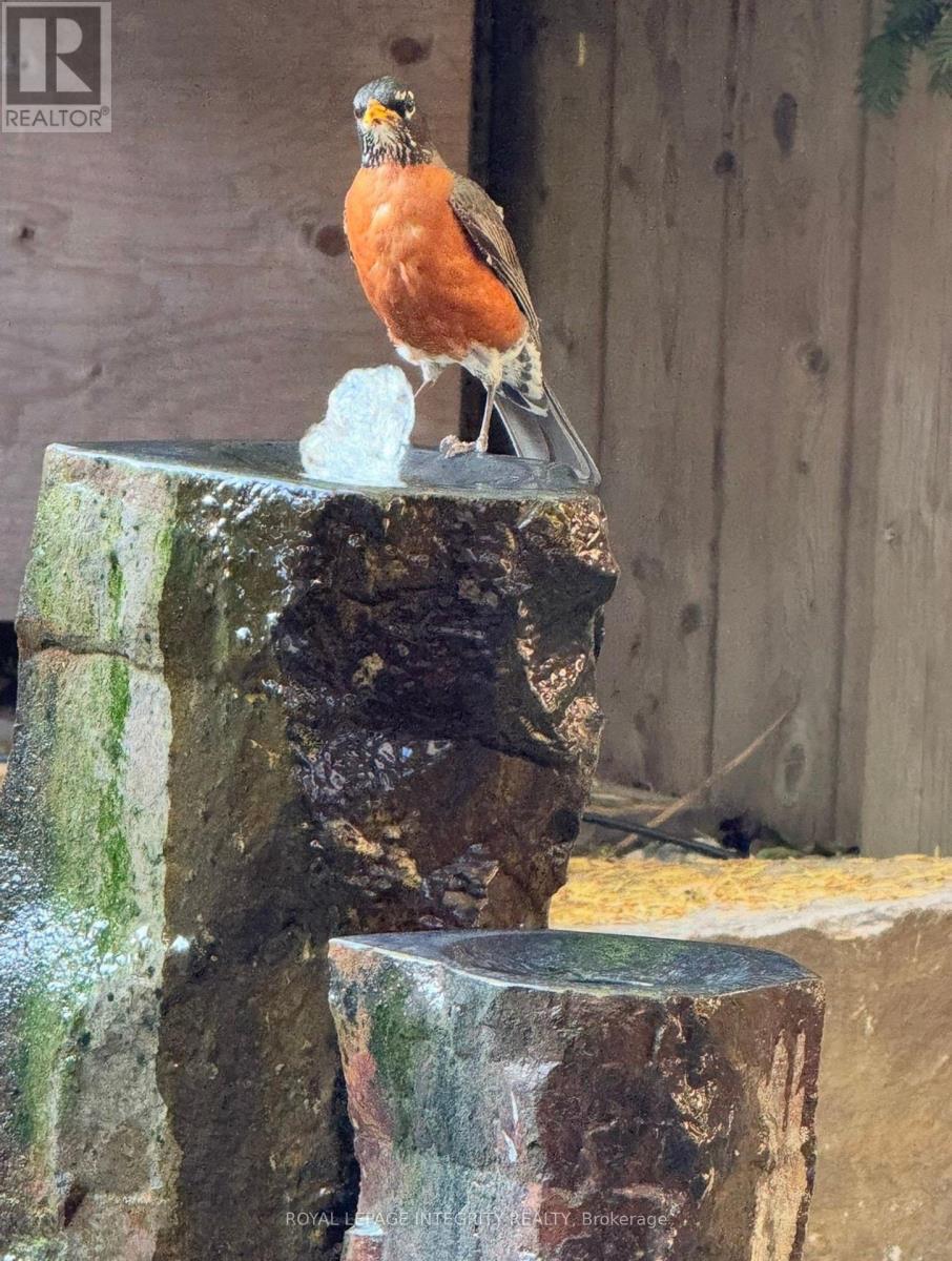 279 Currell Avenue, Ottawa, Ontario  K1Z 7J5 - Photo 25 - X12985756