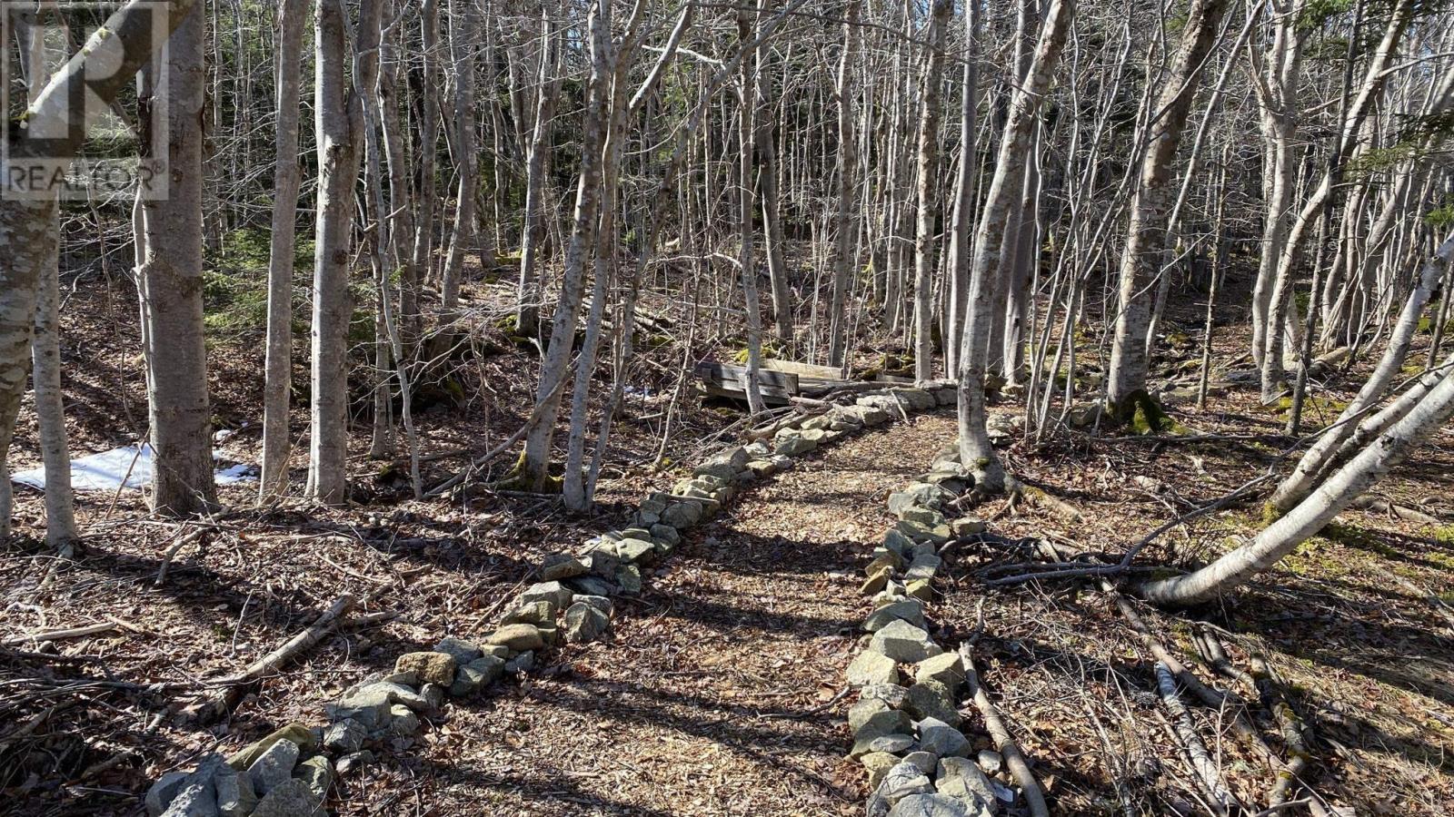 608 Kingsburg Road, Lower Rose Bay, Nova Scotia  B0J 2X0 - Photo 41 - 202606489