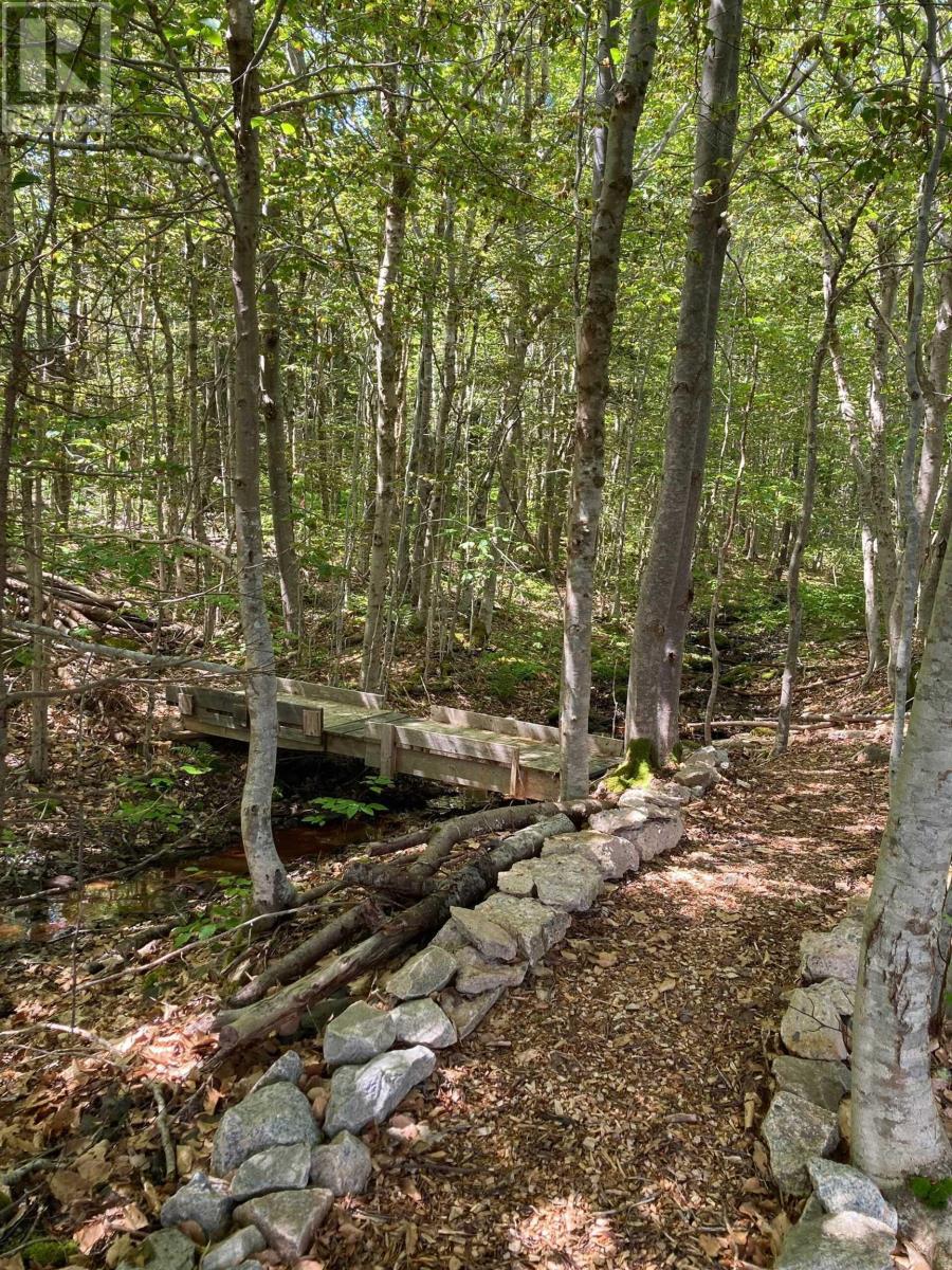 608 Kingsburg Road, Lower Rose Bay, Nova Scotia  B0J 2X0 - Photo 42 - 202606489