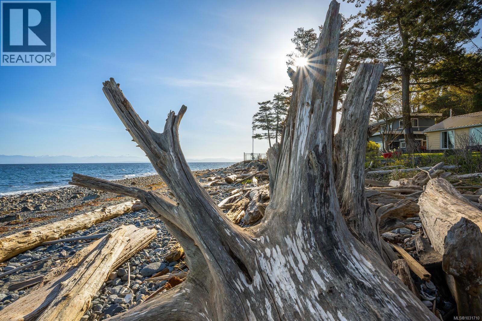 1551 Kye Bay Rd, Comox, British Columbia  V9M 3T7 - Photo 31 - 1031710