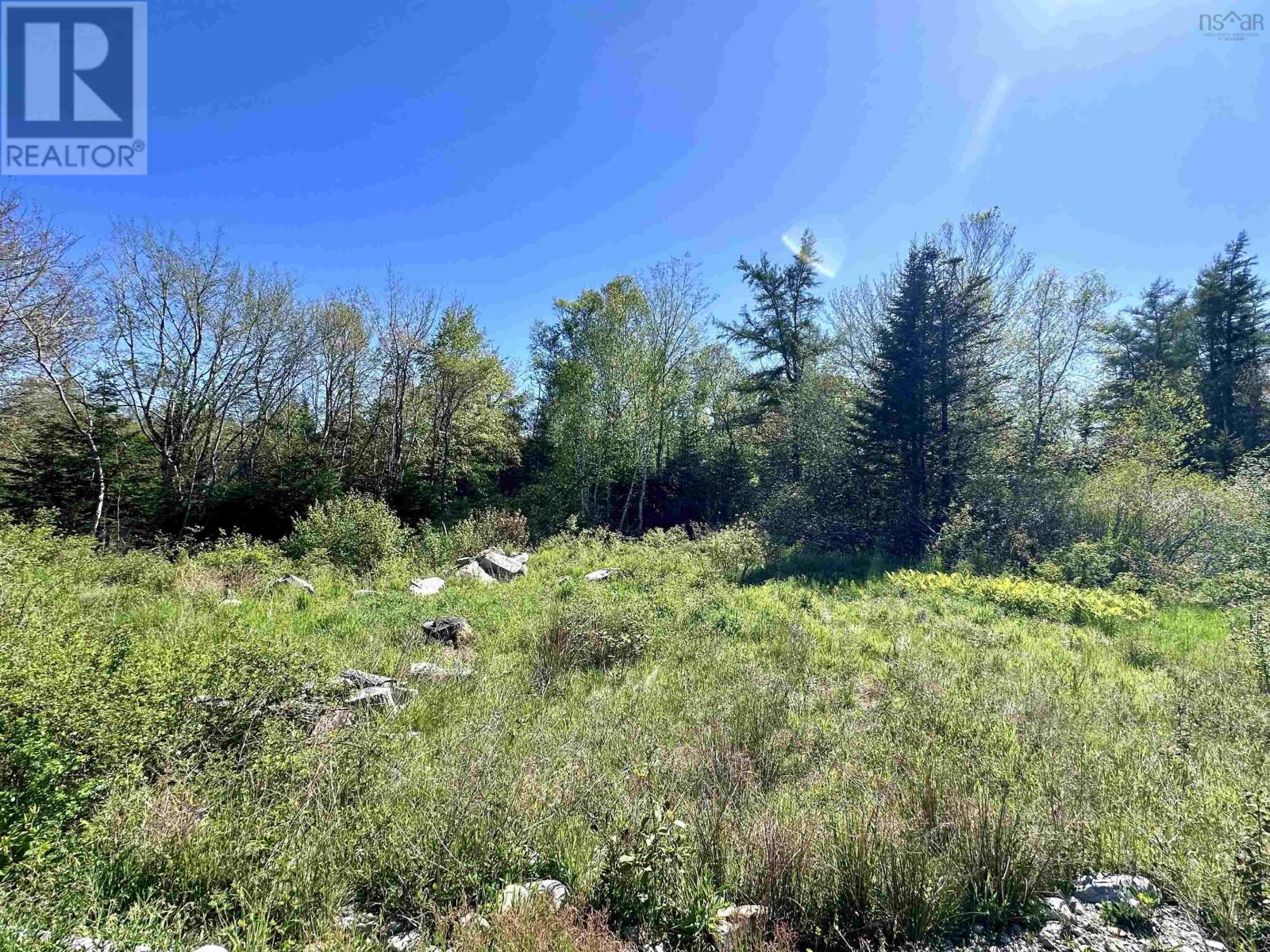 3583 Highway 3, East Green Harbour, Nova Scotia  B0T 1L0 - Photo 6 - 202525144