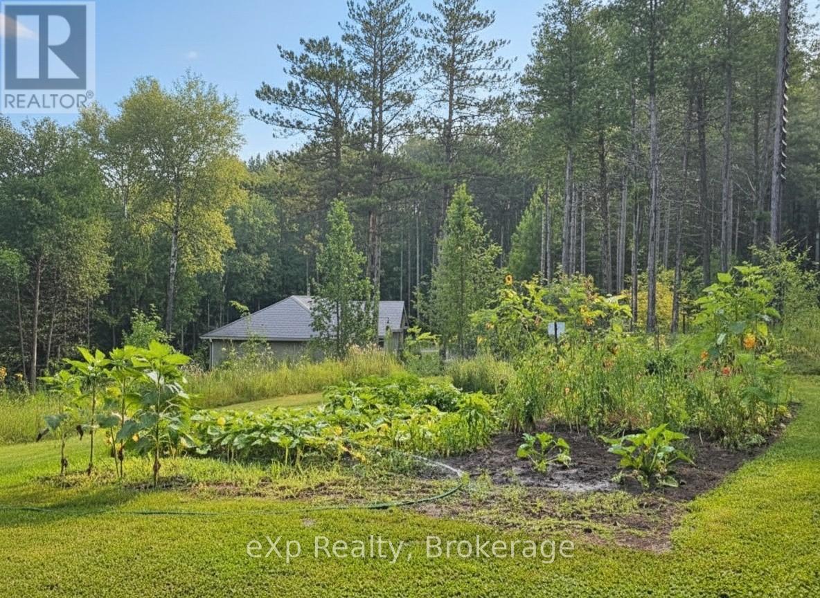 303709 South Line, West Grey, Ontario  N0C 1K0 - Photo 37 - X12985842