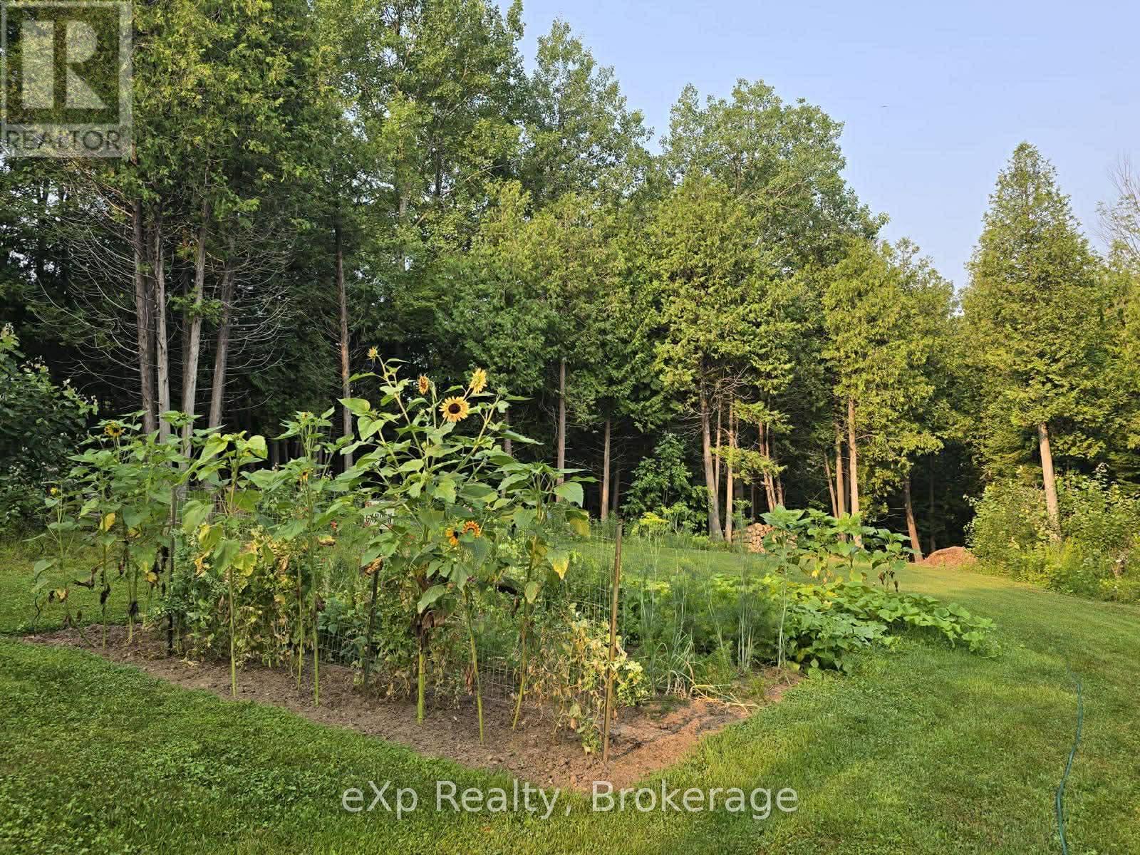 303709 South Line, West Grey, Ontario  N0C 1K0 - Photo 35 - X12985842