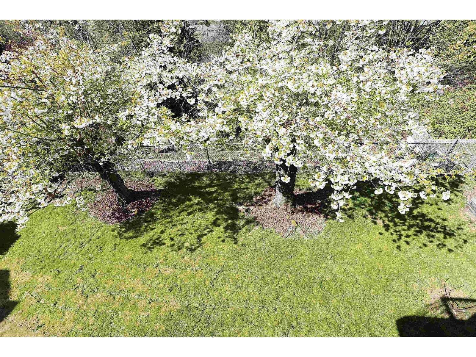 3765 Lethbridge Drive, Abbotsford, British Columbia  V3G 1J5 - Photo 8 - R3109977