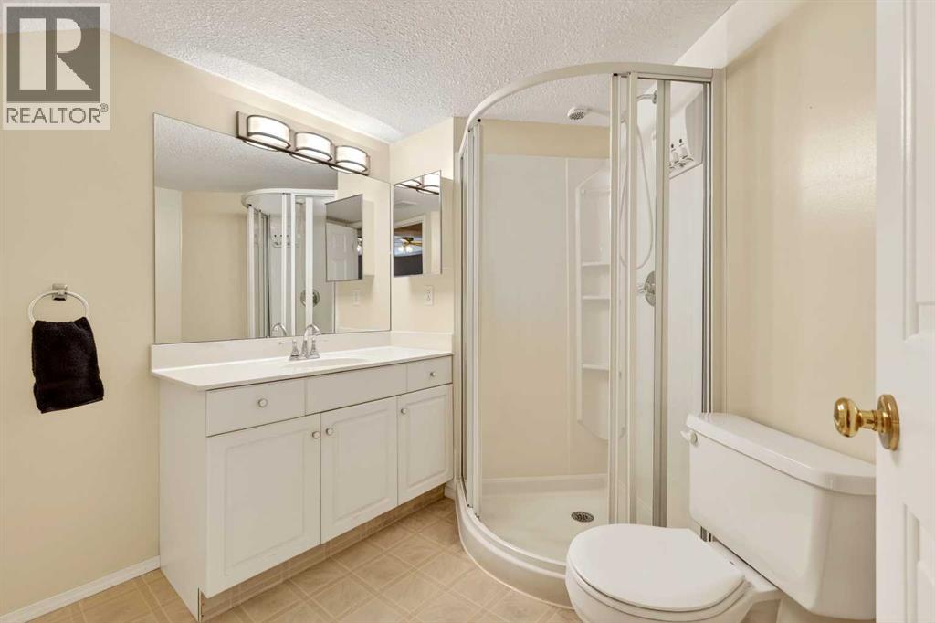 711 Diamond Court SE, Calgary, Alberta  T2J 7E2 - Photo 45 - A2300046