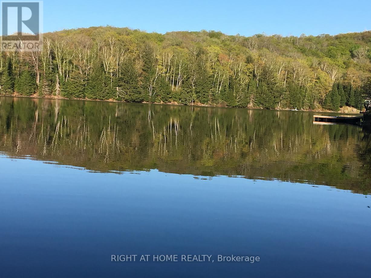 47 Bentley Lake Place, Faraday, Ontario  K0L 1C0 - Photo 7 - X12985902