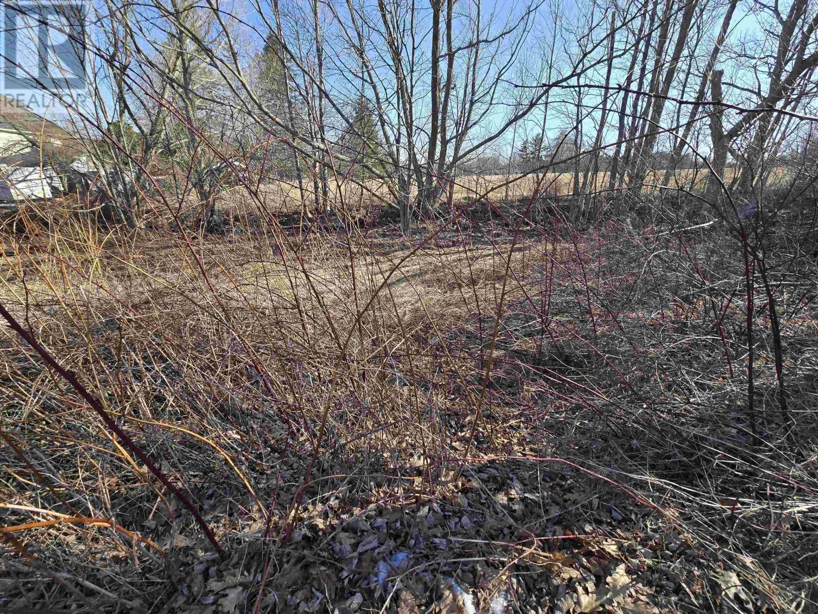 25-1 Weir Avenue, Stellarton, Nova Scotia  B0K 1S0 - Photo 4 - 202516076