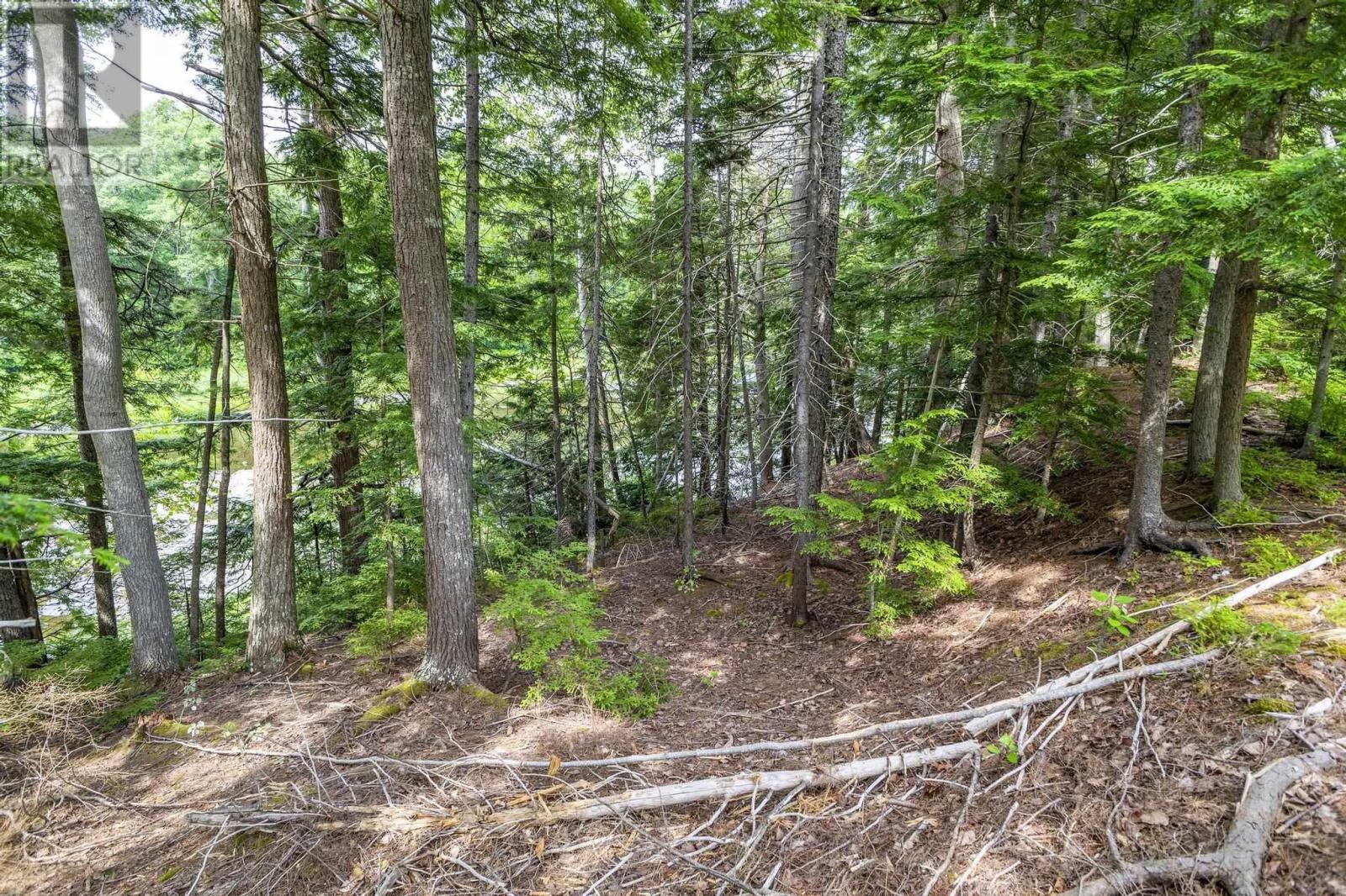 River Road, Plymouth, Nova Scotia  B2H 5C5 - Photo 4 - 202516690