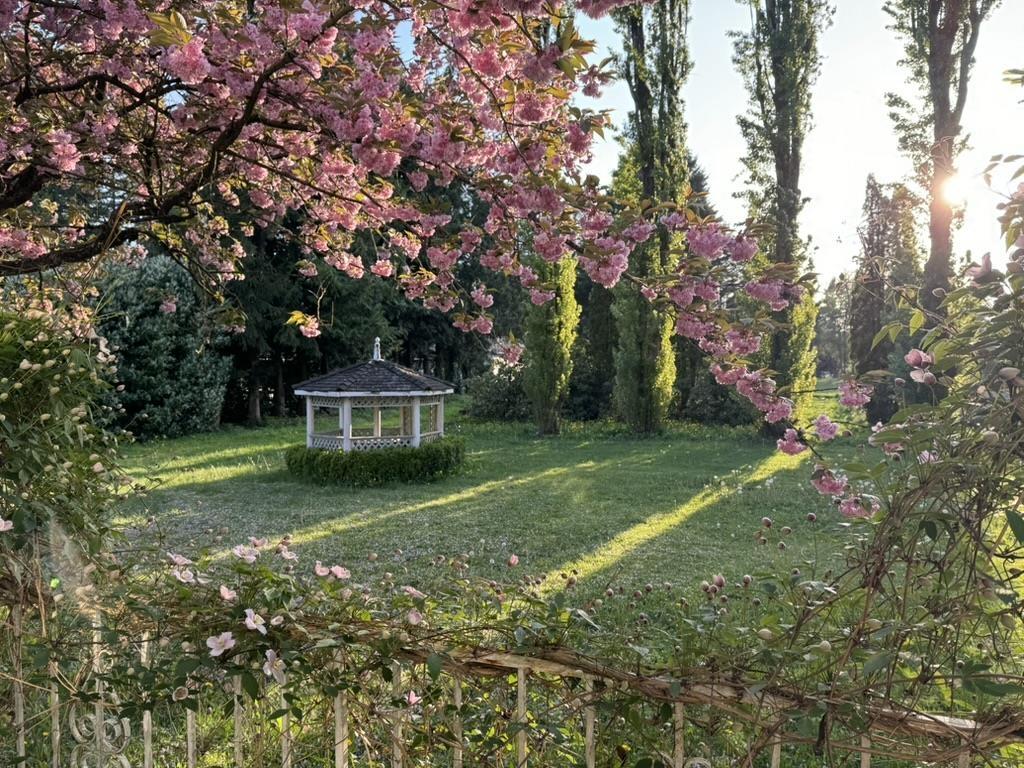 5535 250 Street, Langley, British Columbia  V4W 1E8 - Photo 39 - R3109896