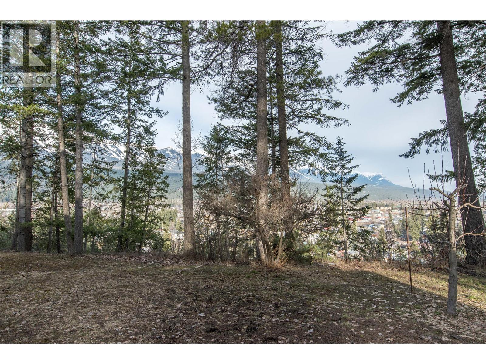 1420 Birch Crescent, Golden, British Columbia  V0A 1H6 - Photo 44 - 10382887