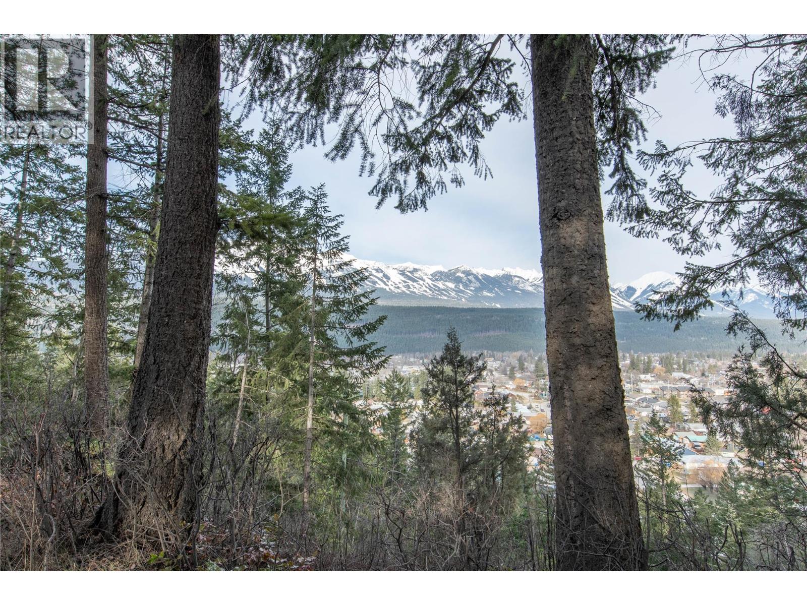 1420 Birch Crescent, Golden, British Columbia  V0A 1H6 - Photo 45 - 10382887