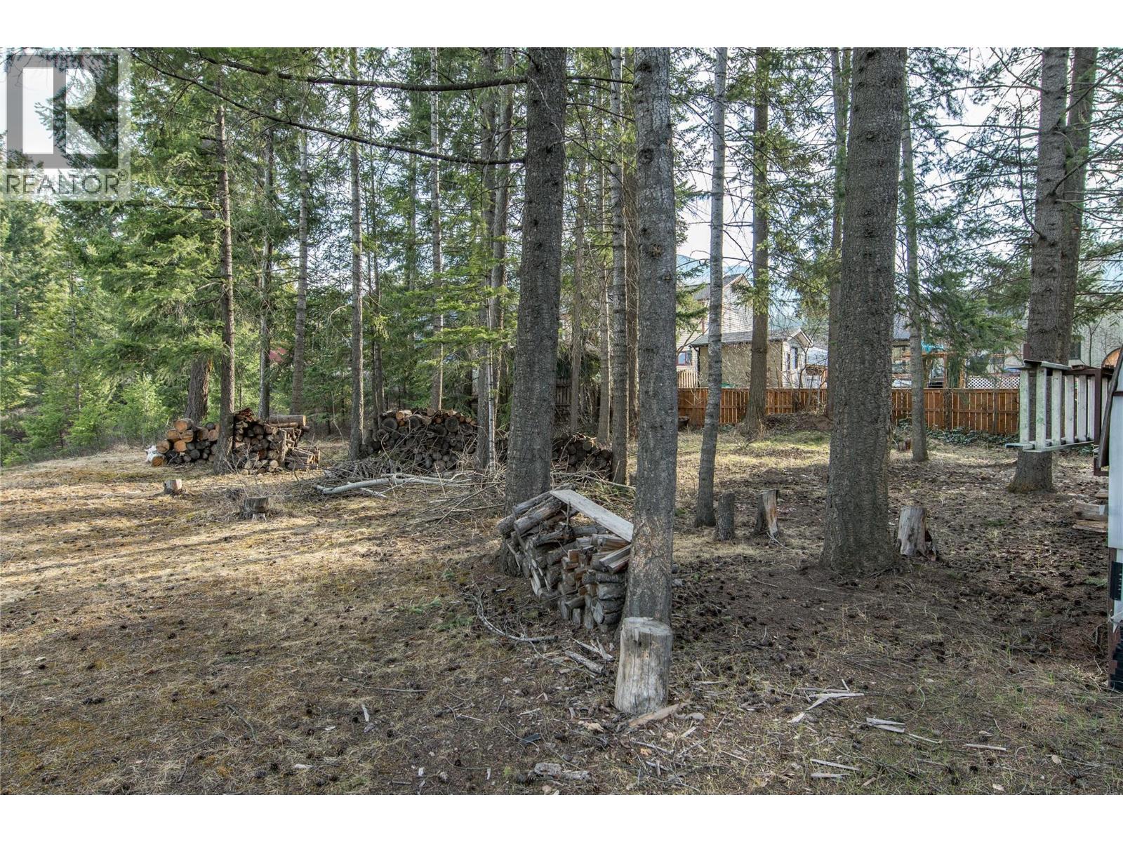 1420 Birch Crescent, Golden, British Columbia  V0A 1H6 - Photo 48 - 10382887